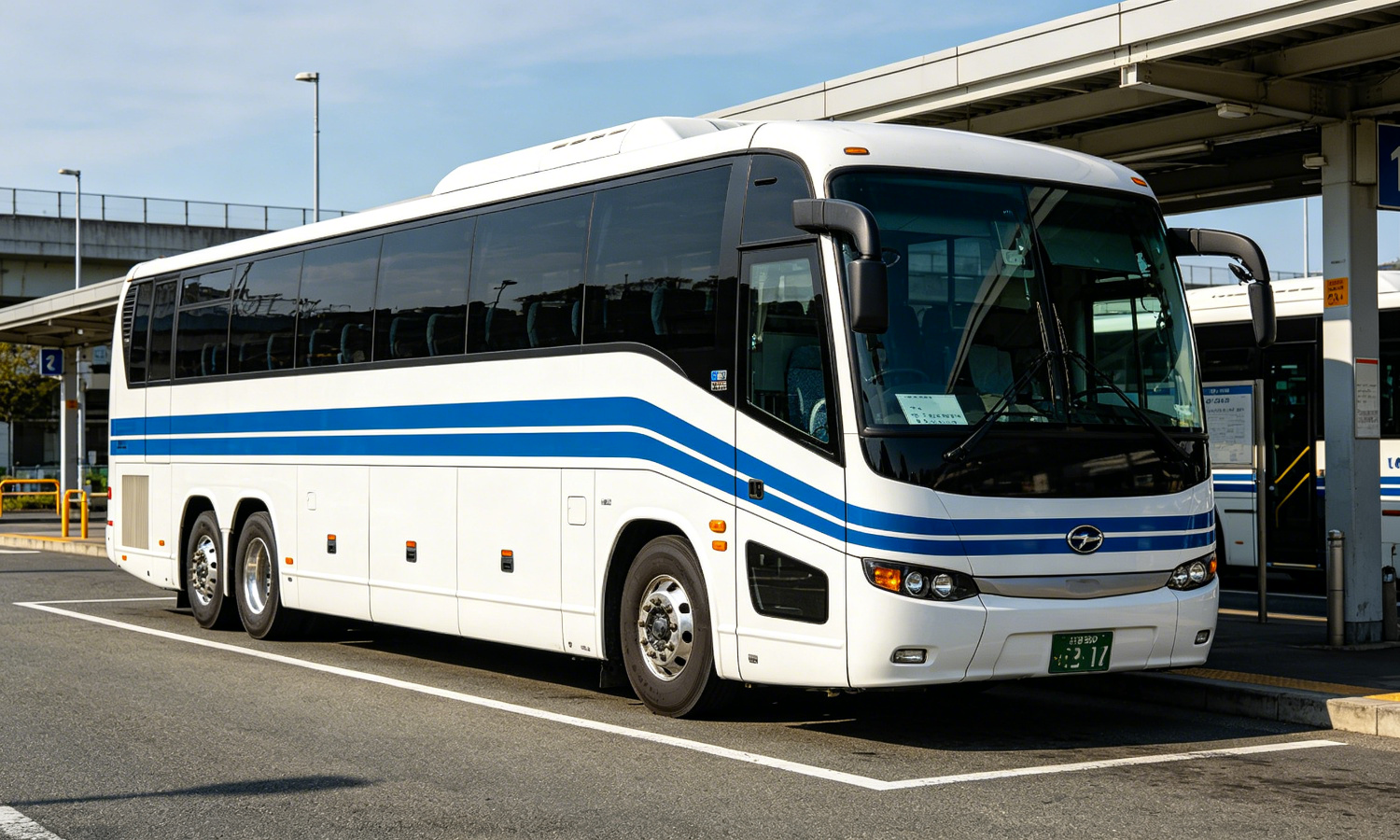 Buses