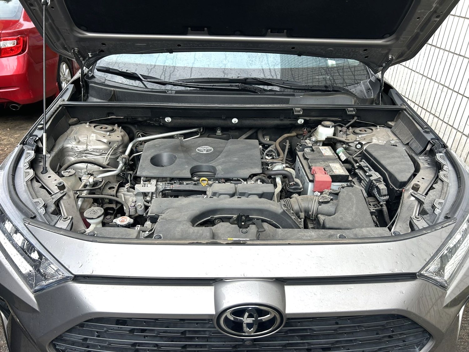 2020 Toyota RAV4 2.0L CVT 2WD (Gasoline) - 图片 6