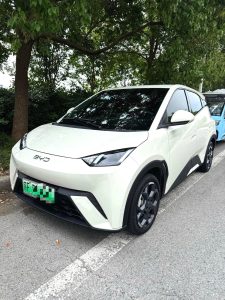 BYD 2025 Seagull 305km Freedom Edition Automatic Transmission（Pure Electric BEV）