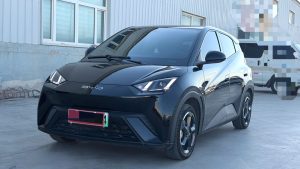 BYD 2023 Seagull 405km Flying Edition Automatic Transmission (Pure Electric BEV)