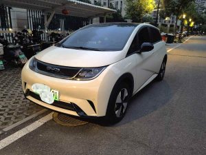 BYD 2023 Dolphin 420km Fashion Edition Automatic Transmission (Pure Electric BEV)