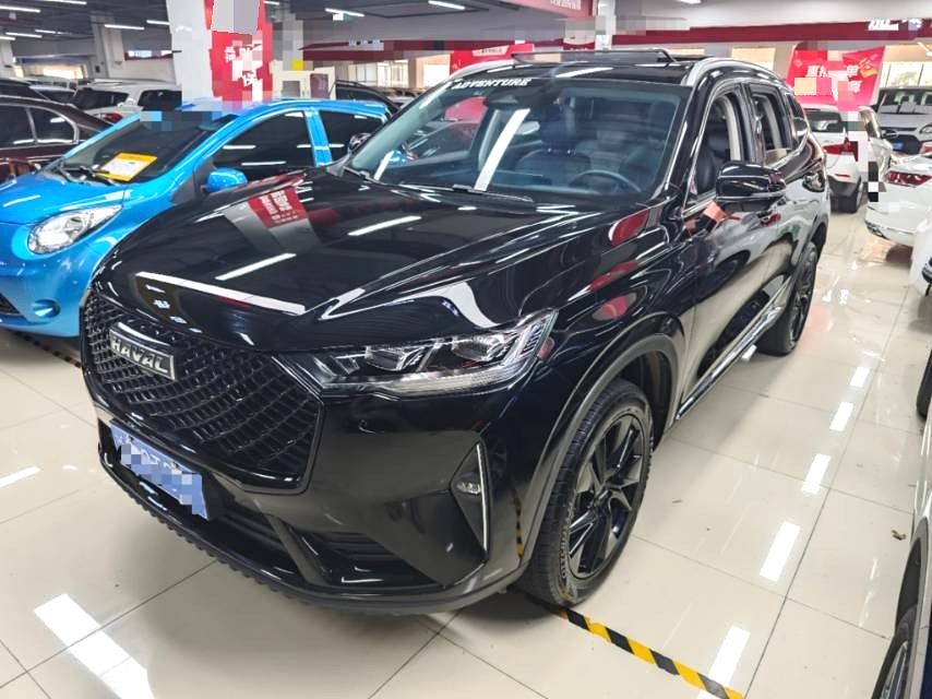 Haval H6 2021 2.0GDIT 2WD Max, Automatic - 图片 10