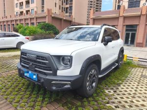 Haval 2022 Dargo 2.0T 4WD Chinese Rural Dog Hunting Edition Automatic